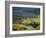 Spruce Trees Along Shallow Helen Lake Shore, High Uintas Wilderness, Ashley National Forest, Utah-Scott T. Smith-Framed Photographic Print