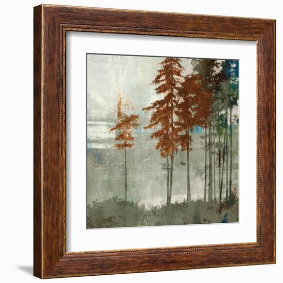 Spruce Woods II-Andrew Michaels-Framed Art Print