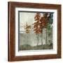 Spruce Woods II-Andrew Michaels-Framed Art Print