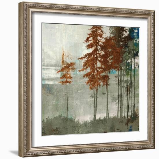 Spruce Woods II-Andrew Michaels-Framed Art Print