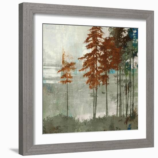 Spruce Woods II-Andrew Michaels-Framed Art Print