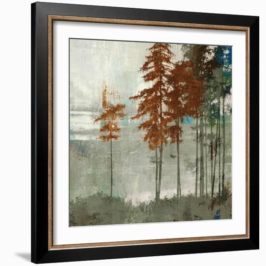 Spruce Woods II-Andrew Michaels-Framed Art Print