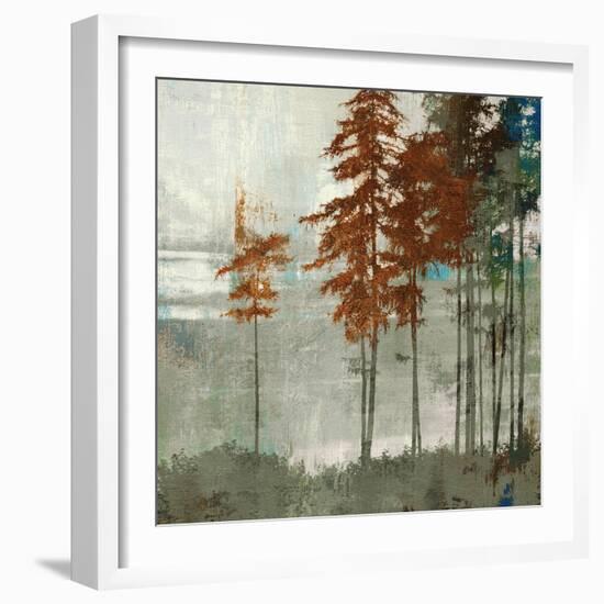 Spruce Woods II-Andrew Michaels-Framed Art Print