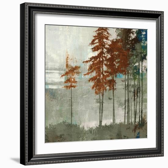 Spruce Woods II-Andrew Michaels-Framed Art Print