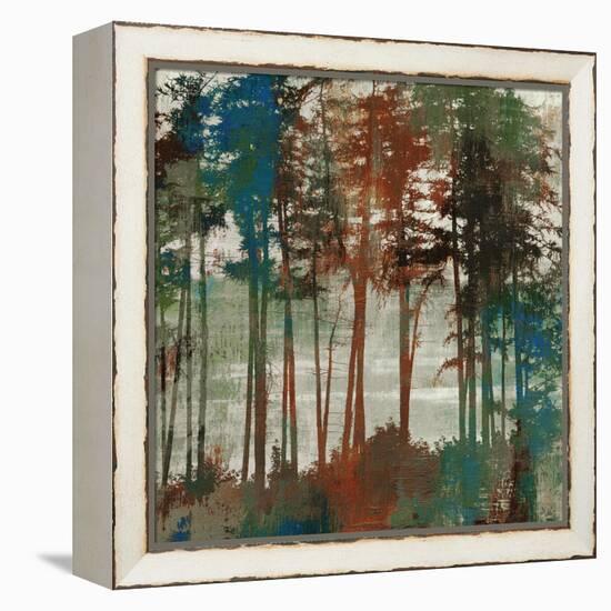 Spruce Woods-Andrew Michaels-Framed Stretched Canvas