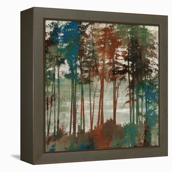 Spruce Woods-Andrew Michaels-Framed Stretched Canvas