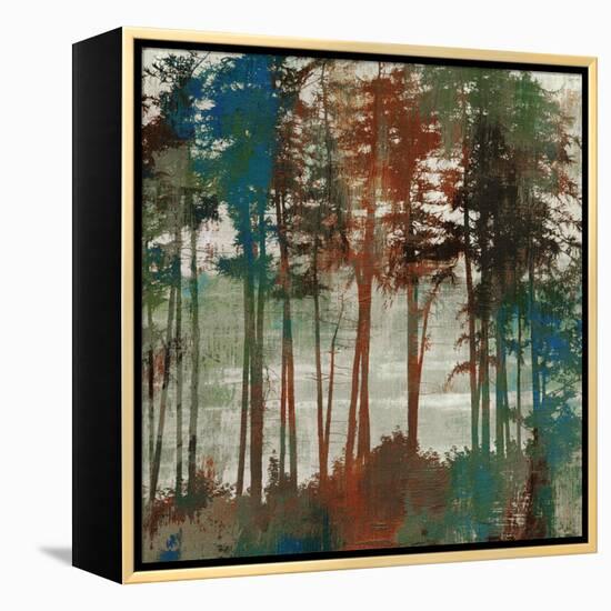 Spruce Woods-Andrew Michaels-Framed Stretched Canvas