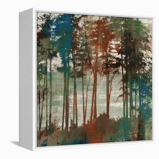 Spruce Woods-Andrew Michaels-Framed Stretched Canvas