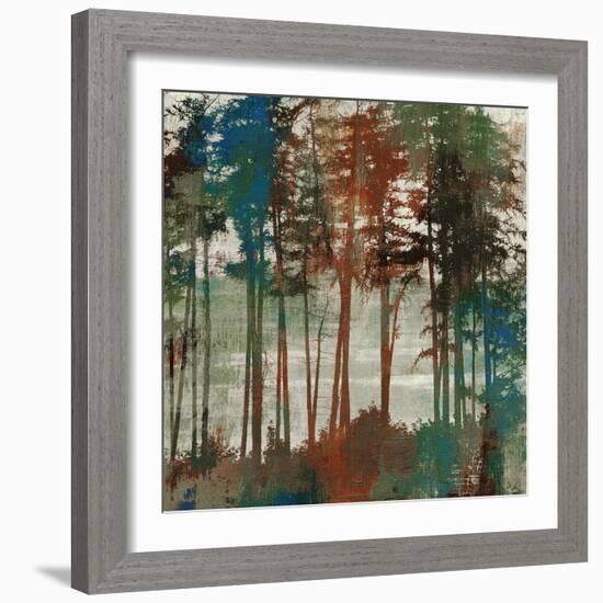 Spruce Woods-Andrew Michaels-Framed Art Print