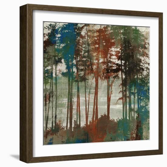 Spruce Woods-Andrew Michaels-Framed Art Print