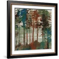 Spruce Woods-Andrew Michaels-Framed Art Print