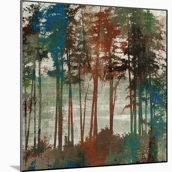 Spruce Woods-Andrew Michaels-Mounted Art Print
