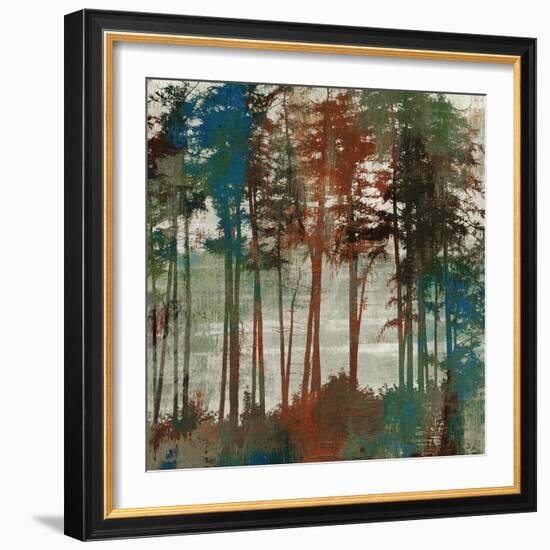 Spruce Woods-Andrew Michaels-Framed Art Print