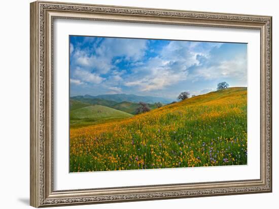 Sprung I-Mark Geistweite-Framed Photographic Print