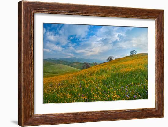 Sprung I-Mark Geistweite-Framed Photographic Print