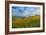 Sprung I-Mark Geistweite-Framed Photographic Print