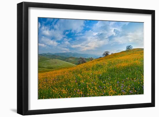 Sprung I-Mark Geistweite-Framed Photographic Print