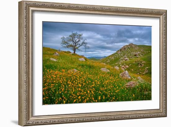 Sprung II-Mark Geistweite-Framed Photographic Print