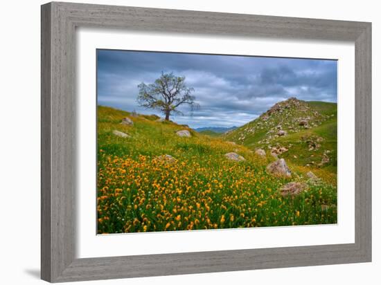 Sprung II-Mark Geistweite-Framed Photographic Print