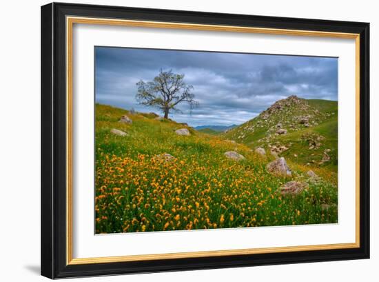 Sprung II-Mark Geistweite-Framed Photographic Print