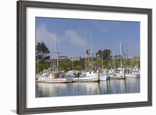 Spud Point Marina, Bodega Bay, California, Usa-Rainer Mirau-Framed Photographic Print