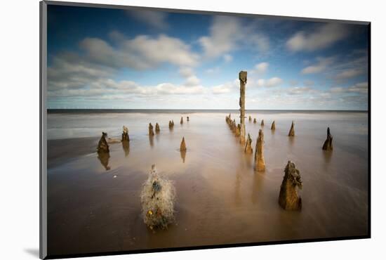 Spurn Point, Spurn Head, Groynes, Yorkshire, England, United Kingdom, Europe-Bill Ward-Mounted Photographic Print