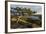 Squam Lake from West Rattlesnake Mountain, Holderness, New Hampshire-Jerry & Marcy Monkman-Framed Photographic Print