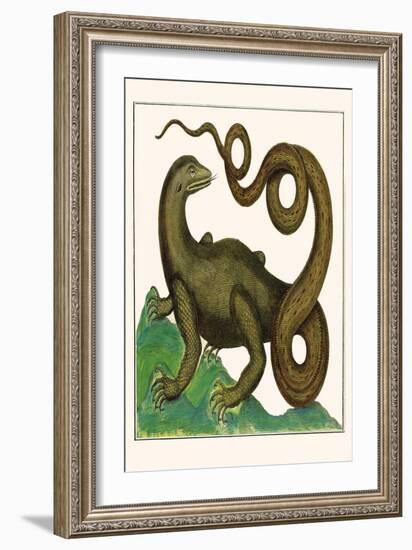 Squamata-Albertus Seba-Framed Art Print