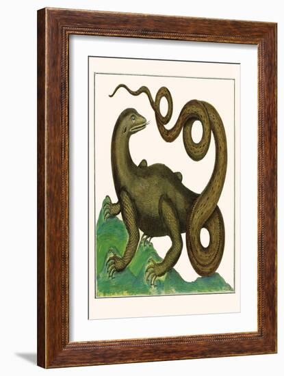 Squamata-Albertus Seba-Framed Art Print