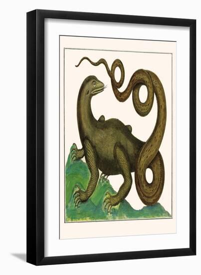 Squamata-Albertus Seba-Framed Art Print