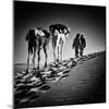 Square Black & White Image of 2 Men and 2 Camels in Sahara Desert-ABO PHOTOGRAPHY-Mounted Photographic Print