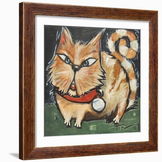 Square Cat-Tim Nyberg-Framed Giclee Print