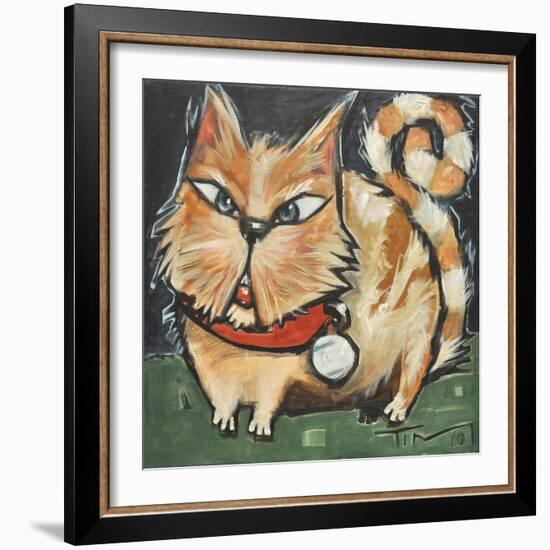 Square Cat-Tim Nyberg-Framed Giclee Print