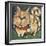 Square Cat-Tim Nyberg-Framed Giclee Print