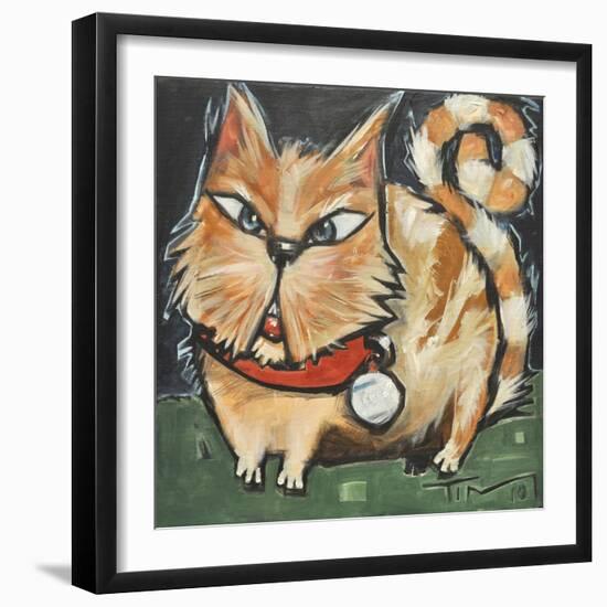 Square Cat-Tim Nyberg-Framed Giclee Print