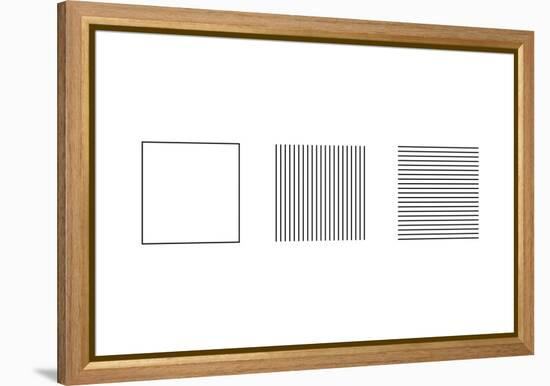 Square Illusion - Subdivision-Science Photo Library-Framed Premier Image Canvas