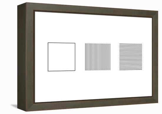 Square Illusion - Subdivision-Science Photo Library-Framed Premier Image Canvas