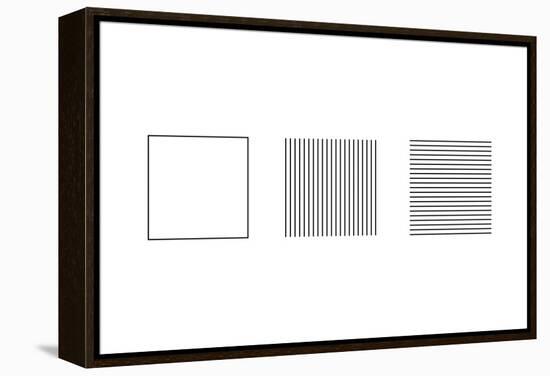 Square Illusion - Subdivision-Science Photo Library-Framed Premier Image Canvas