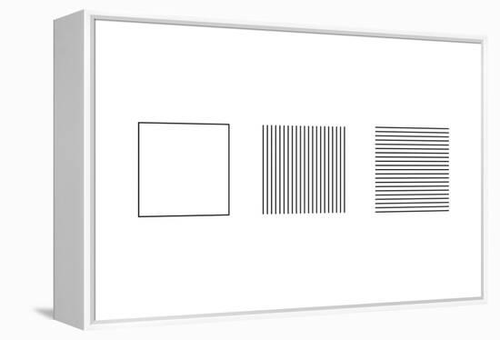 Square Illusion - Subdivision-Science Photo Library-Framed Premier Image Canvas