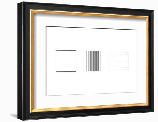 Square Illusion - Subdivision-Science Photo Library-Framed Photographic Print