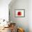 Square Tomato-Cordelia Molloy-Framed Photographic Print displayed on a wall