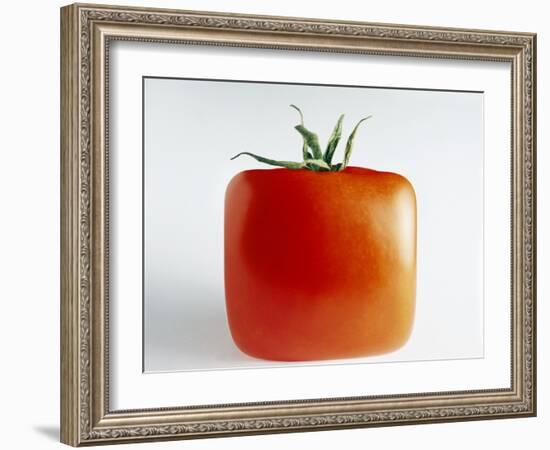 Square Tomato-Cordelia Molloy-Framed Photographic Print