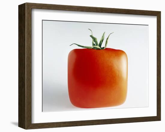 Square Tomato-Cordelia Molloy-Framed Photographic Print