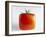 Square Tomato-Cordelia Molloy-Framed Photographic Print