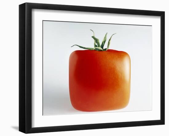 Square Tomato-Cordelia Molloy-Framed Photographic Print