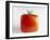 Square Tomato-Cordelia Molloy-Framed Photographic Print