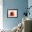 Square Tomato-Cordelia Molloy-Framed Photographic Print displayed on a wall