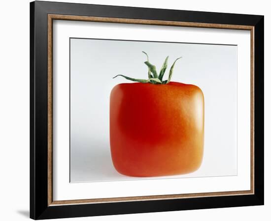 Square Tomato-Cordelia Molloy-Framed Photographic Print