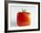 Square Tomato-Cordelia Molloy-Framed Photographic Print