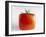 Square Tomato-Cordelia Molloy-Framed Photographic Print